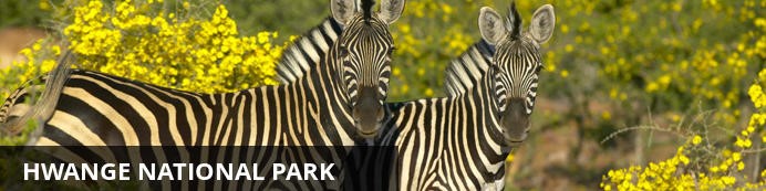 Unforgettable Zimbabwe Safari - Exclusive Adventures - Hwange National Park